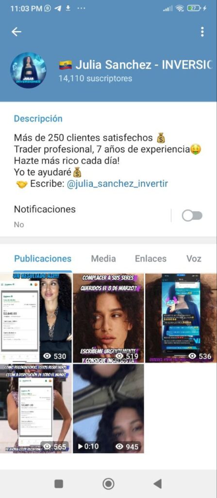 JULIA SANCHEZ INVERSIONES 447x1024 - Listado de CANALES EN TELEGRAM de INVERSIÓN ESTAFA 2024