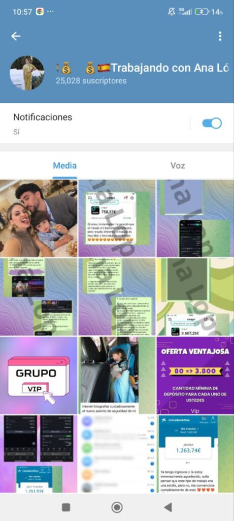 trabajando con ana lopez 461x1024 - Listado de CANALES EN TELEGRAM de INVERSIÓN ESTAFA 2024