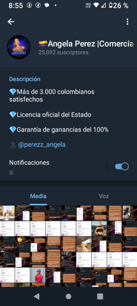 angela perez comerciante 461x1024 - Listado de CANALES EN TELEGRAM de INVERSIÓN ESTAFA 2024