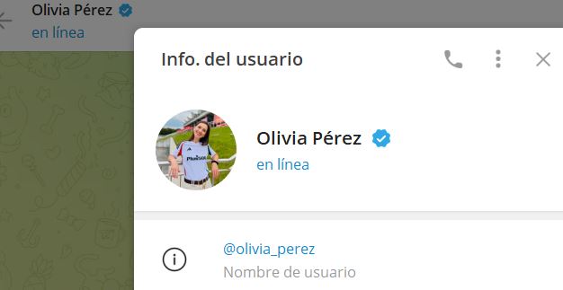 olivia perez - Listado Canales en Telegram de Apuestas Deportivas ESTAFA